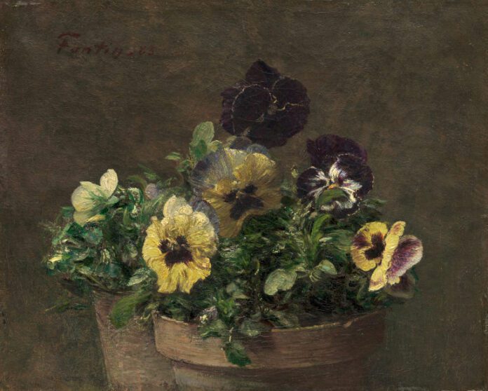 Potted Pansies by Henri Fantin-Latour