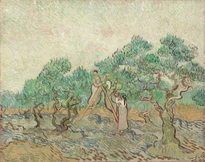 The Olive Orchard, 1889 by Vincent van Gogh